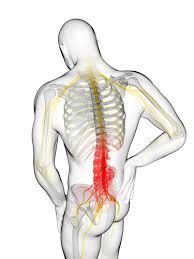 Exercises For Lower Back Pain For When At Work Battersea