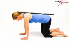 Exercises for lower back pain London