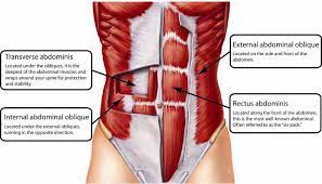 Engaging abdominal muscles: