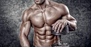 Personal Fitness Trainer For Bodybuilding London