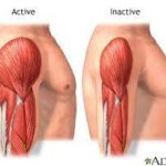 Muscle Atrophy, Personal trainer London