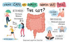 Understanding the Gut Microbiome: A Key to Your Health